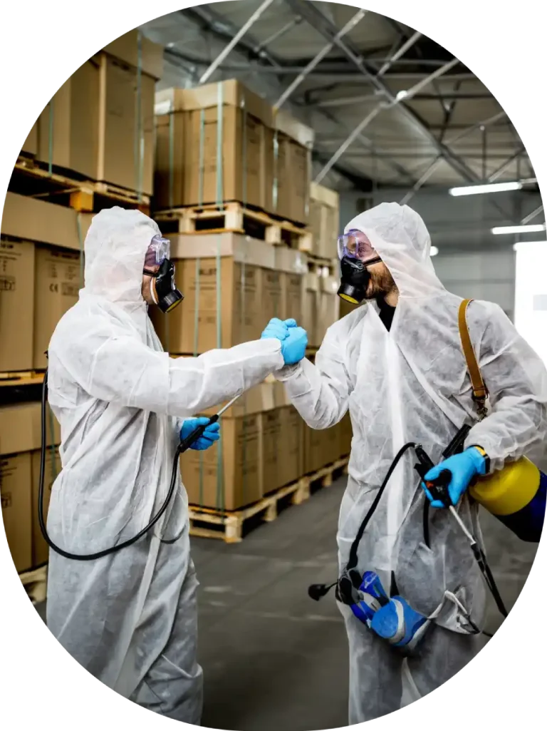 two workers in white suits