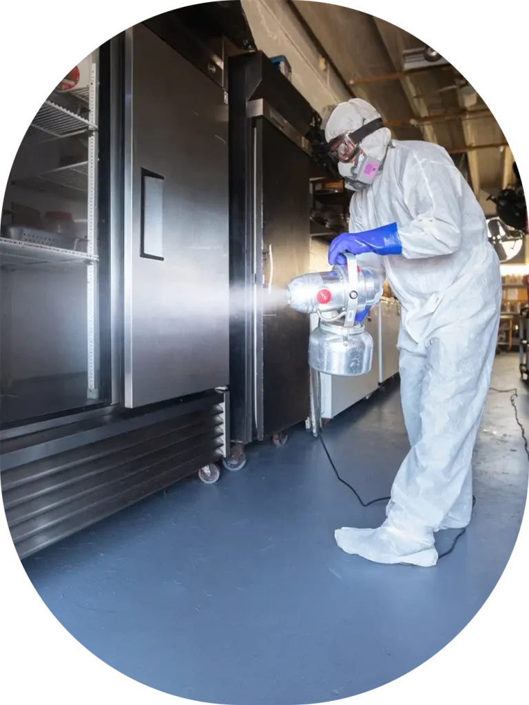worker cleaning restaurant fridge