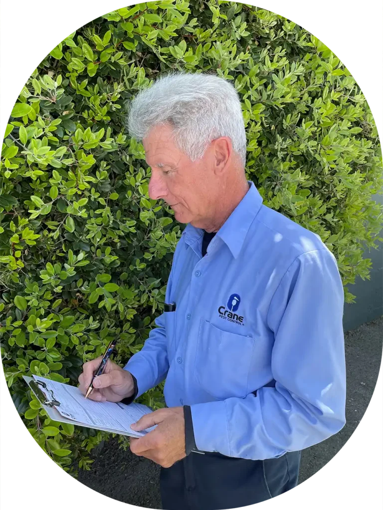 Crane Pest Control worker