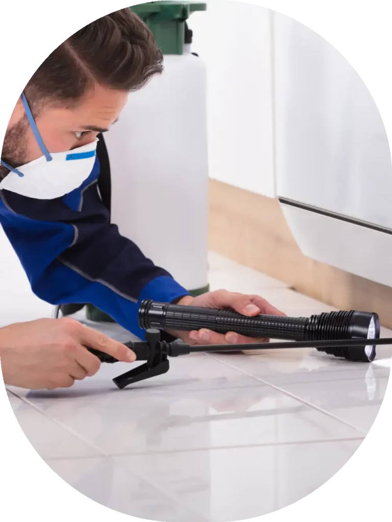 worker inspecting with a flashlight