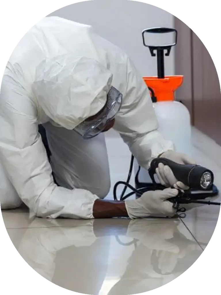 worker on the ground spraying