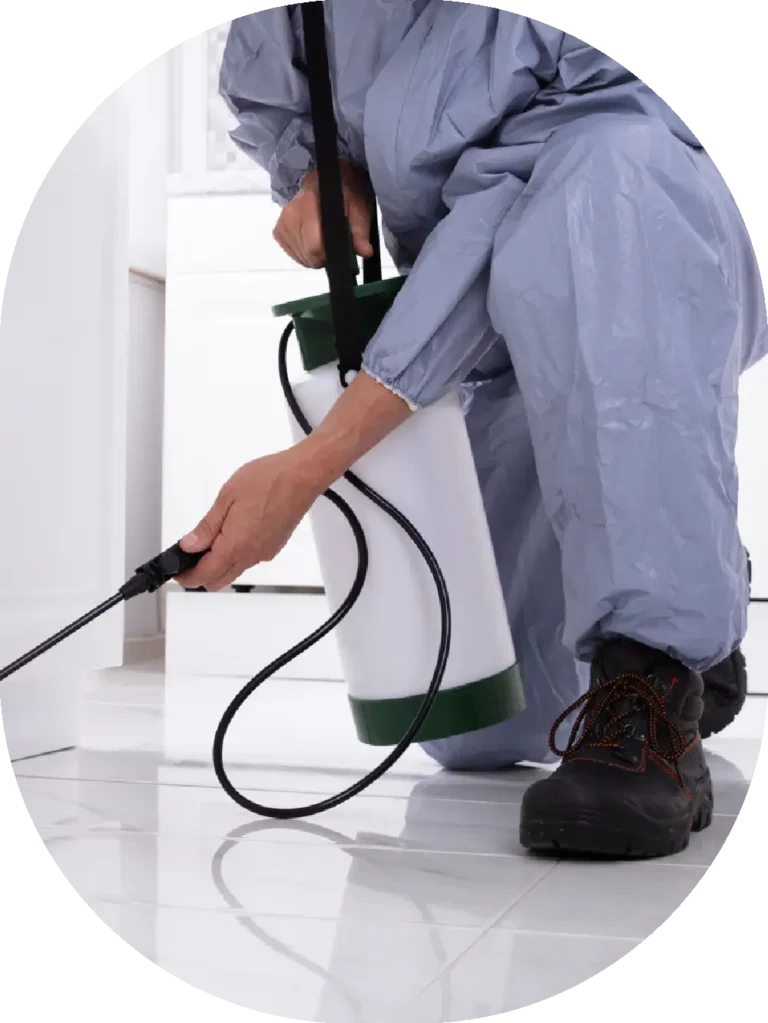 worker spraying a floor cabinet