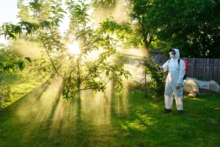 worker spaying fruit trees