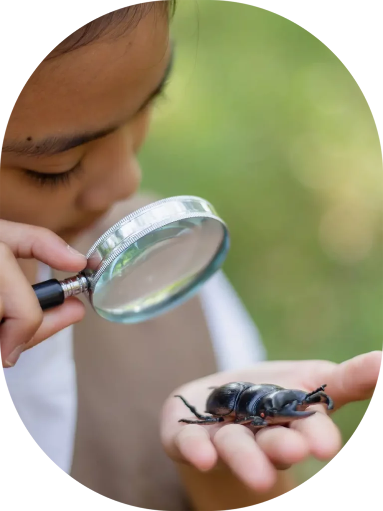 little girl examining bug with magnifying glass
