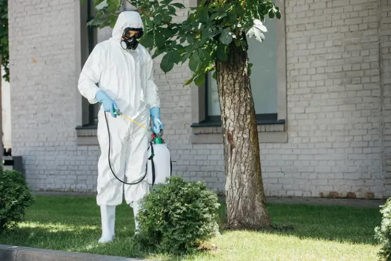 pest control worker spraying pesticides
