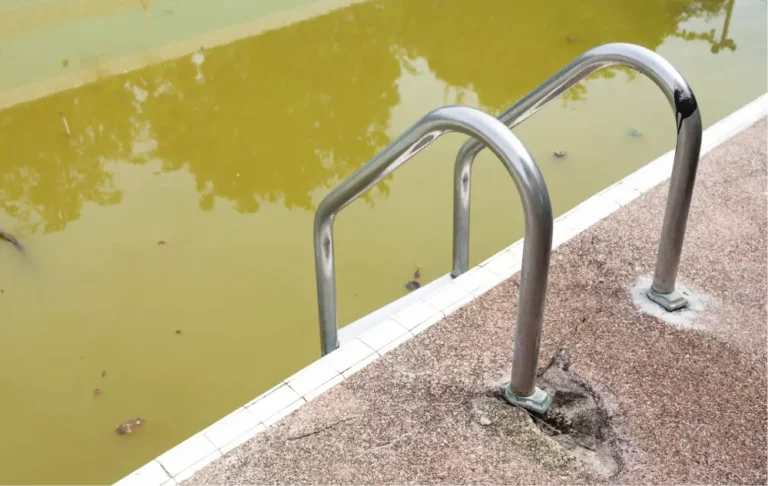 dirty pool water